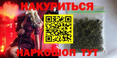 спайс Кингисепп