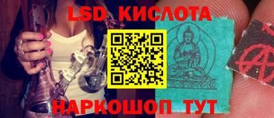 спайс Кингисепп