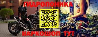 гашик Кимры