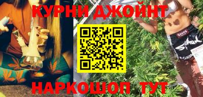 спайс Кингисепп