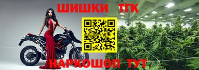 гашик Кимры