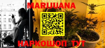 трава Кинель