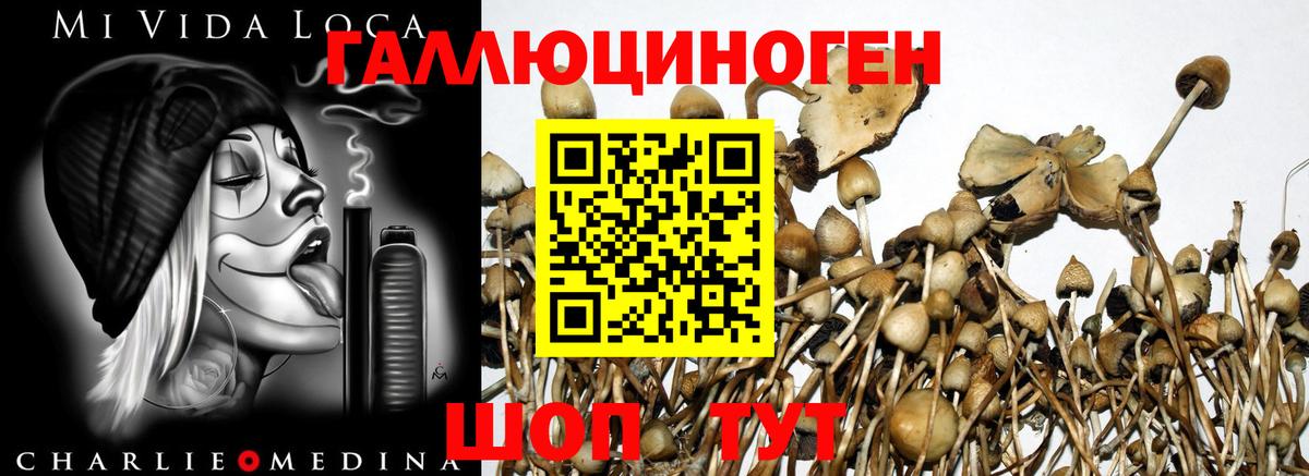 Псилоцибиновые грибы мицелий  Галлюциногенные грибы Psilocybine cubensis  Вход с VPN  Королёв 